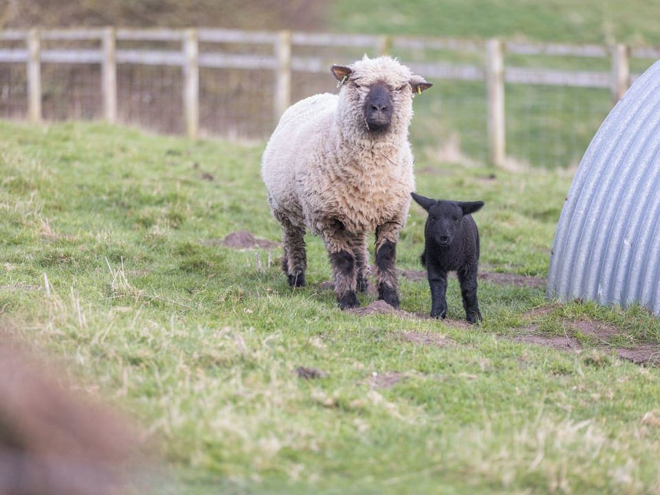 Hilltop Bothy, Alnwick