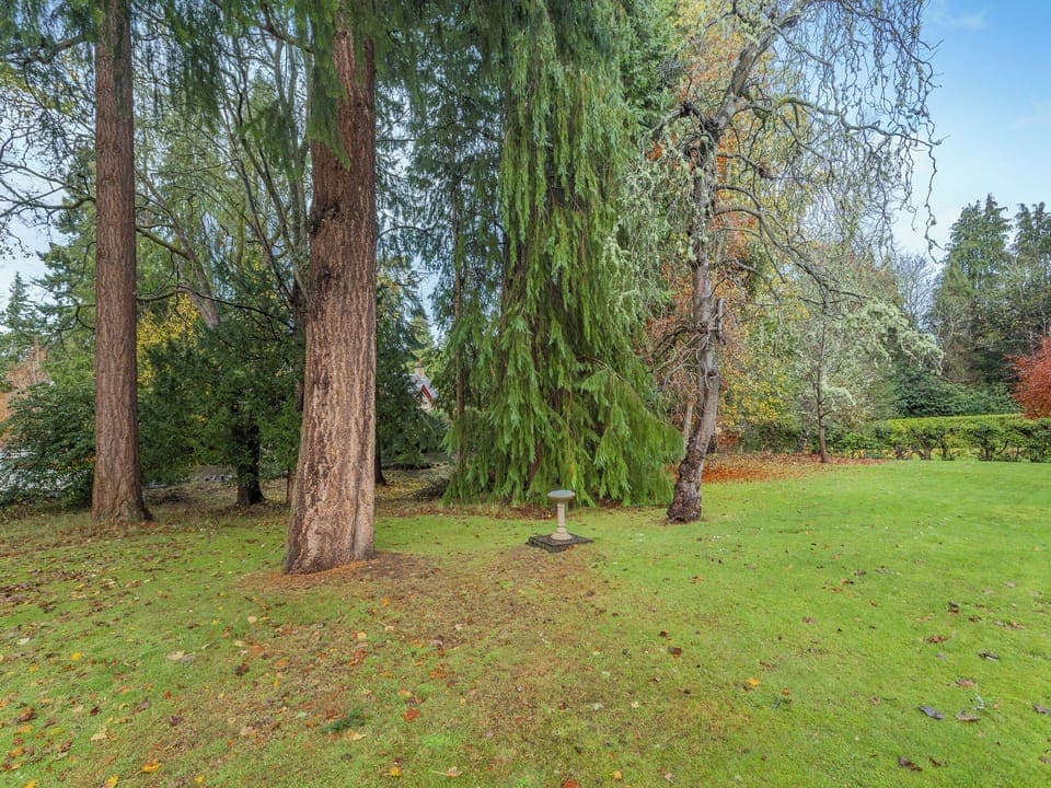 Garden | Cosy Ness, Inverness