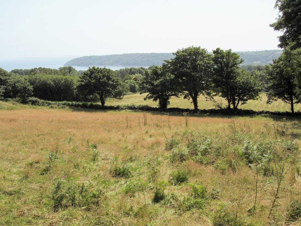 Surrounding area | Windsmoor Cottage on Gower, Perriswood, near Oxwich