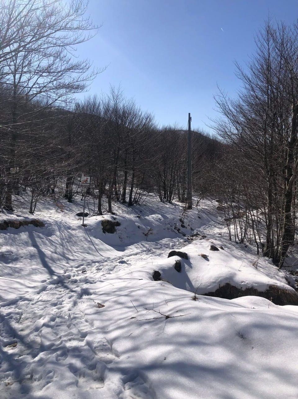 Activities, Autumn, Outdoor, Spring, Summer