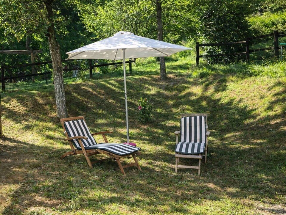 Autumn, Garden, Spring, Summer