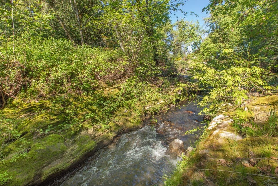 A pristine creek winds through lush woodland near the property, creating a peaceful natural setting for your retreat.