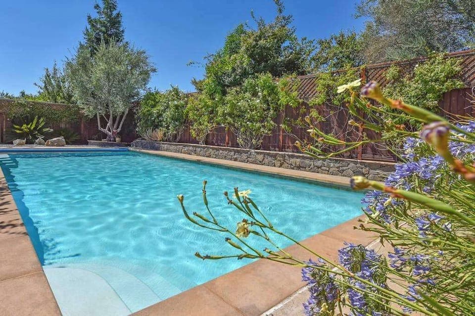 Dive into your sparkling private pool framed by olive trees and agapanthus blooms — the perfect cool-down after a Sonoma Valley tasting tour.