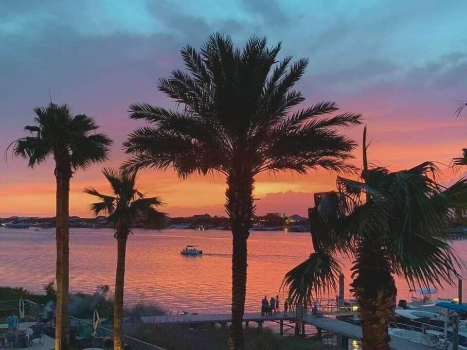 Discover unparalleled coastal access from this exclusive marina, where the serenity of the river meets the vibrant energy of the Gulf.