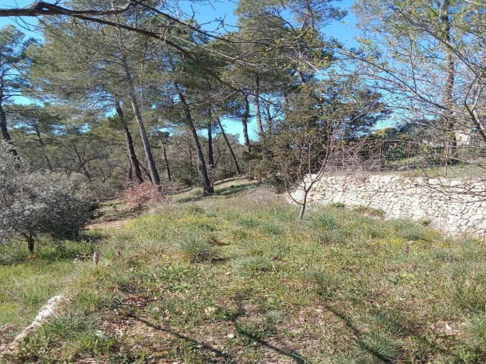 Region [summer] (>5 km)