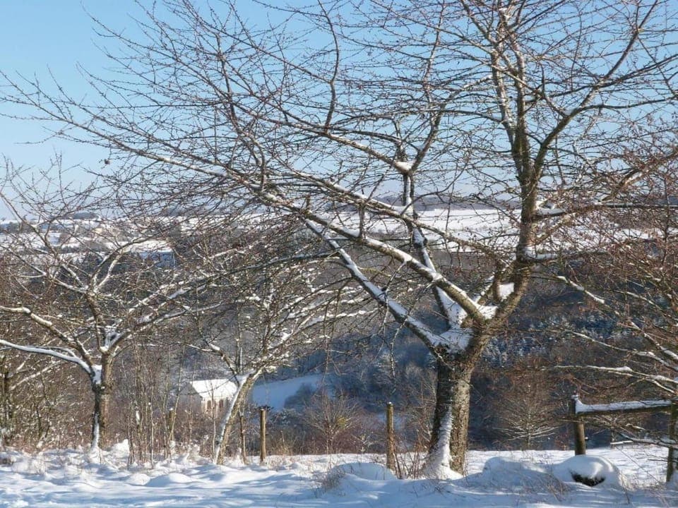 Region [summer] (>5 km)