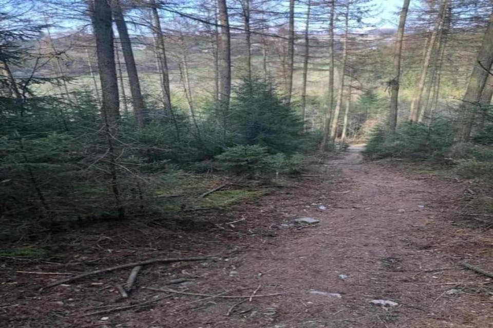 Region [summer] (>5 km)