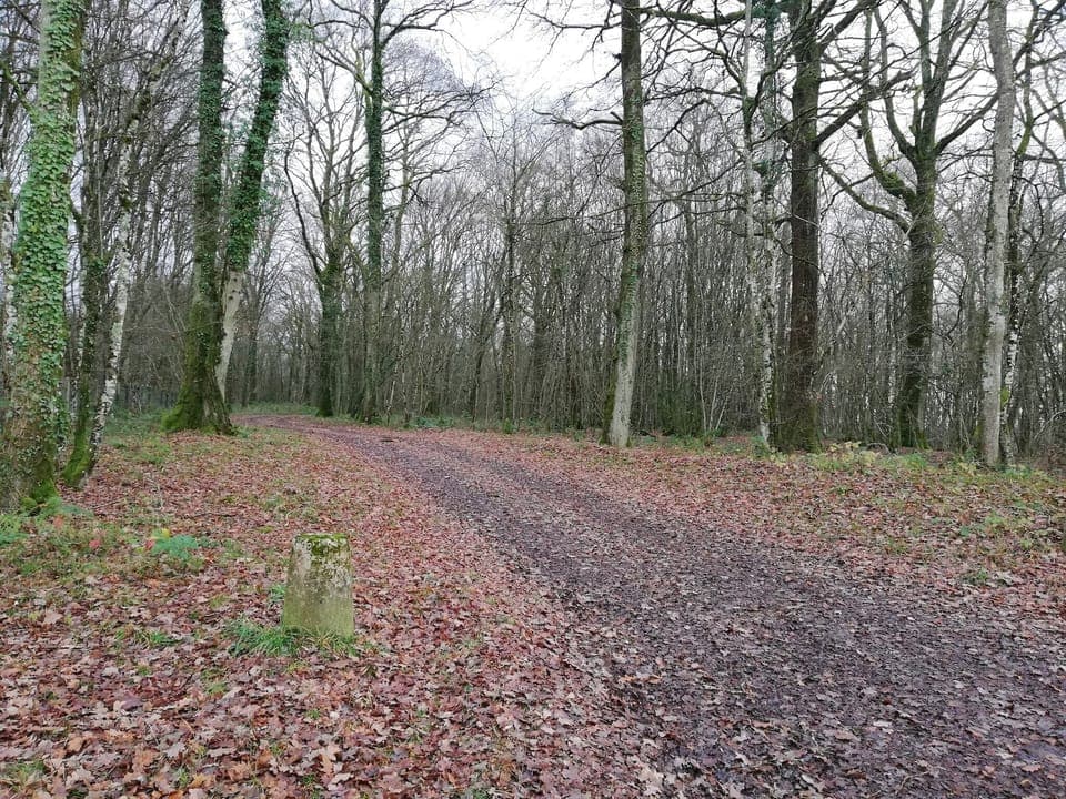 Immediate Surroundings [winter] (<1 km)