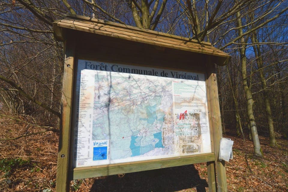 Immediate Surroundings [summer] (<1 km)