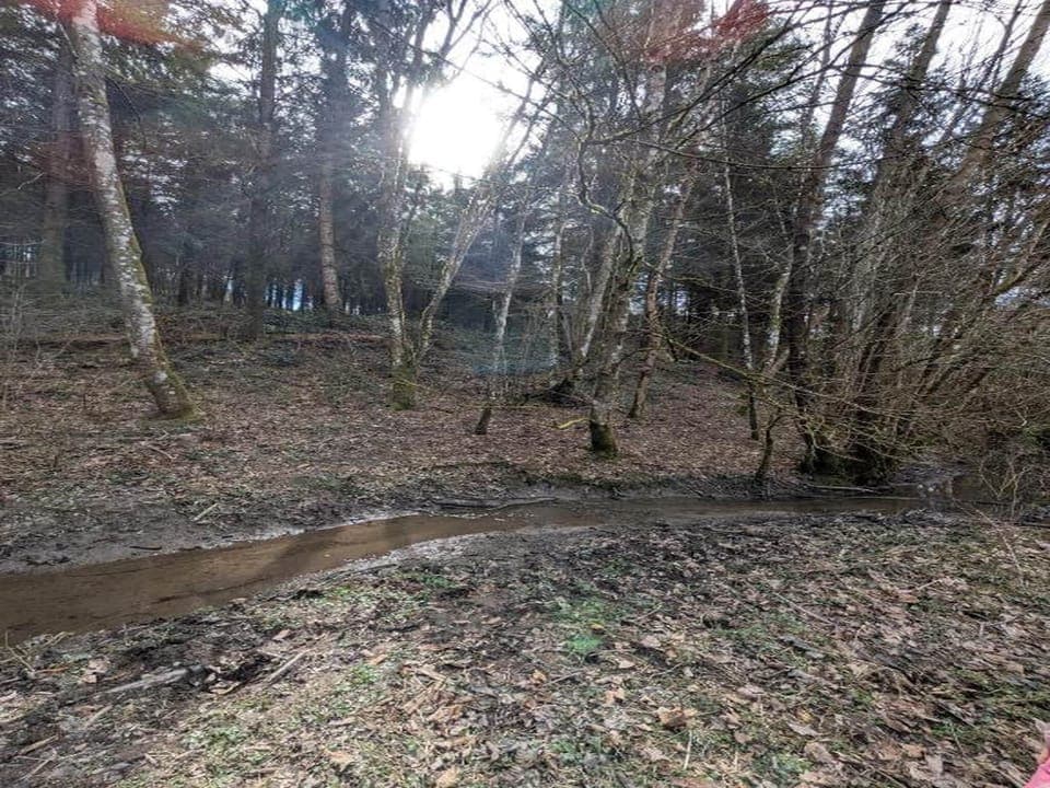 Region [summer] (>5 km)