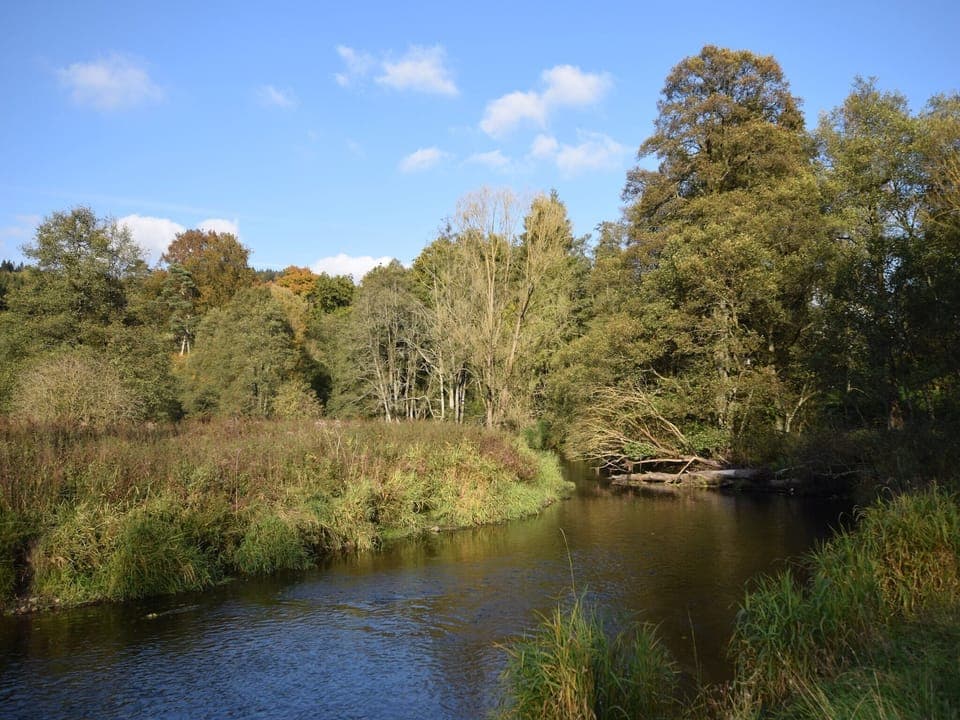 Region [summer] (>5 km)