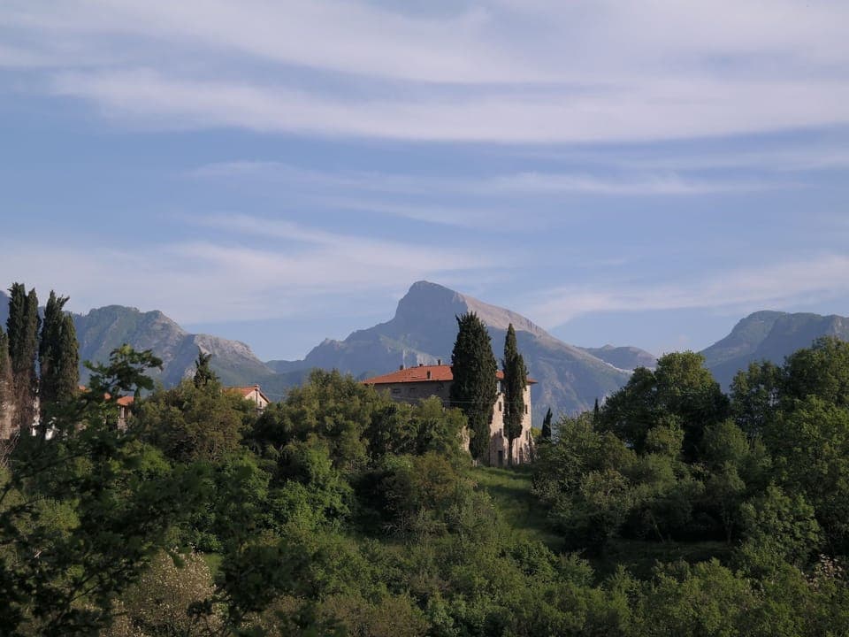 Immediate Surroundings [summer] (<1 km)