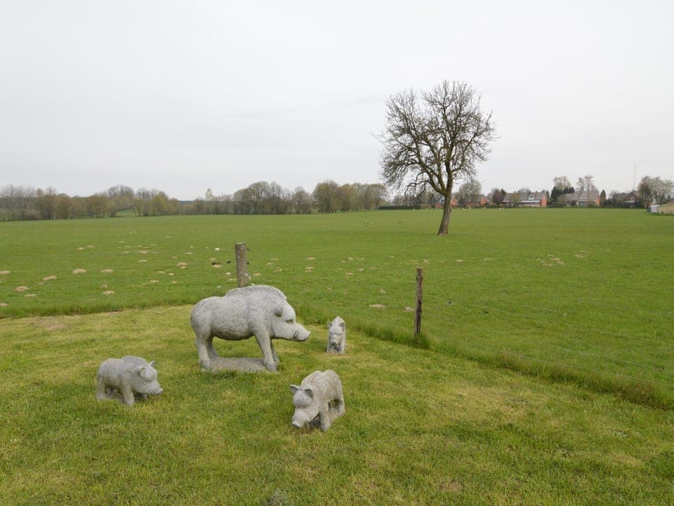 View from Holiday Home [summer]