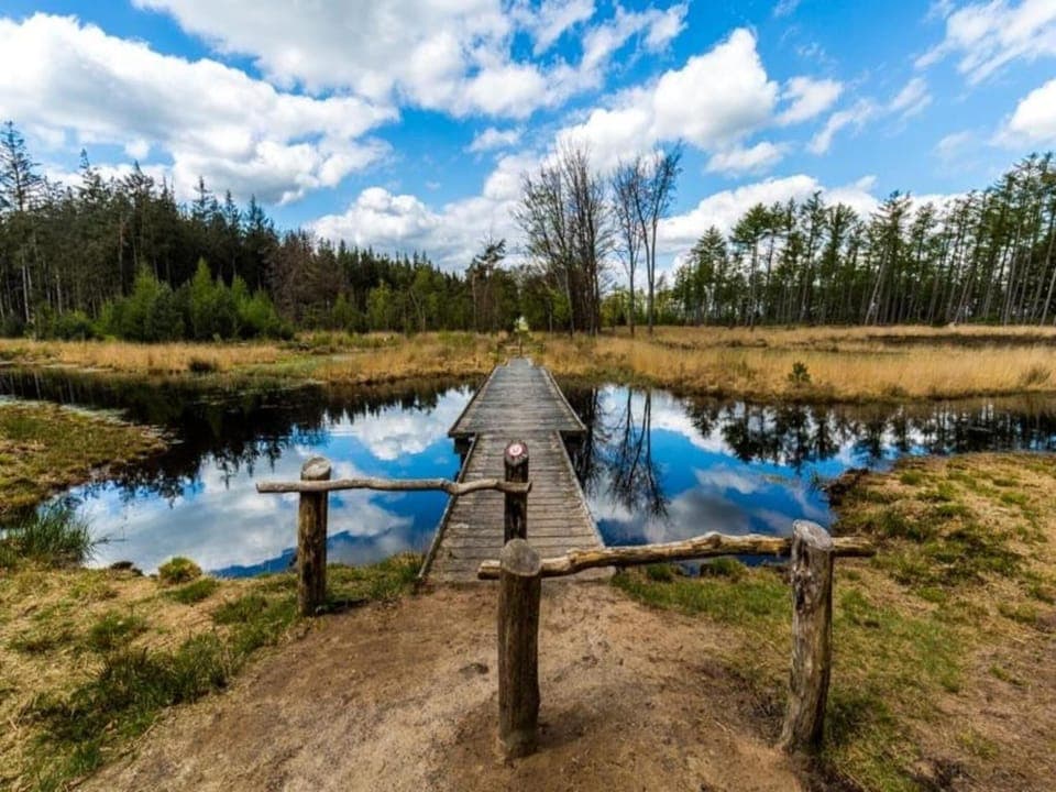 Region [summer] (>5 km)