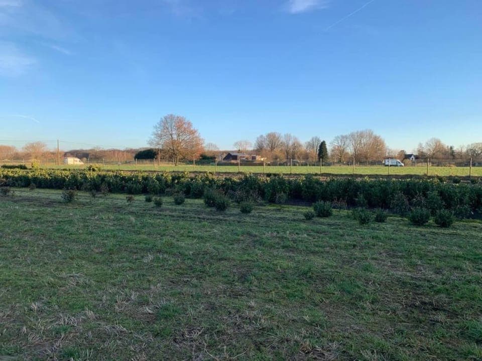 Region [summer] (>5 km)