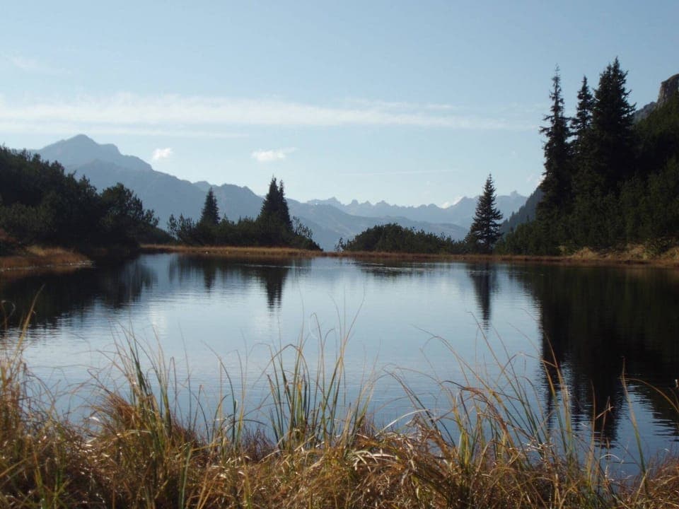 Region [summer] (>5 km)