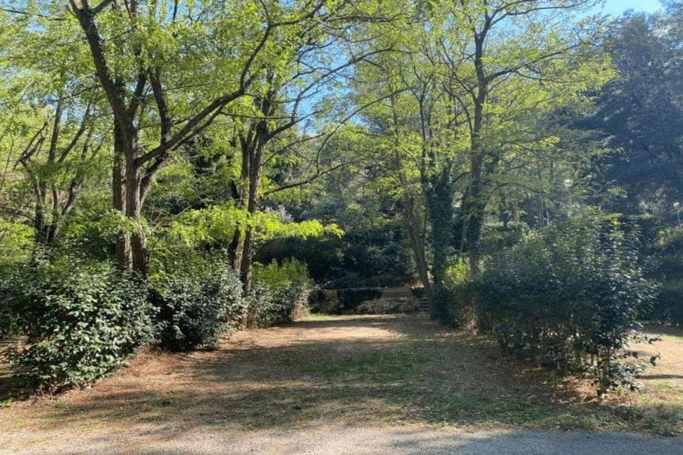 Surroundings [summer] (1-5 km)