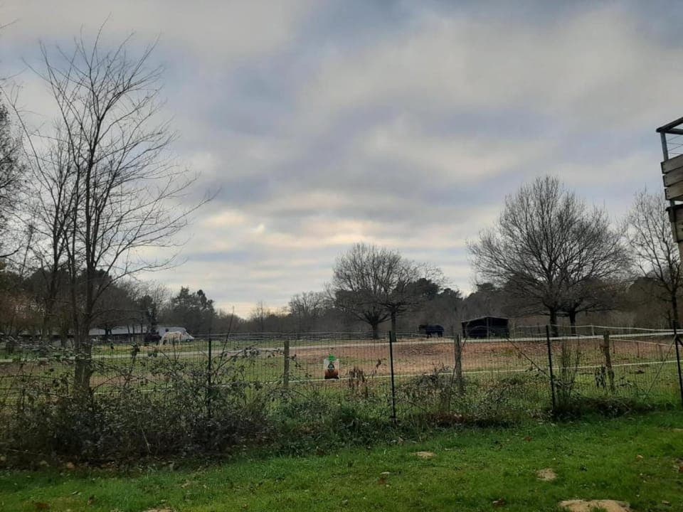 Surroundings [summer] (1-5 km)