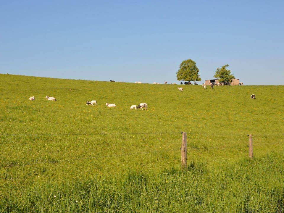 Surroundings [summer] (1-5 km)