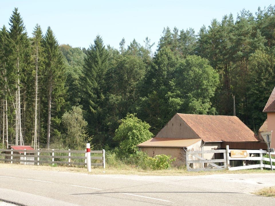 Immediate Surroundings [summer] (<1 km)