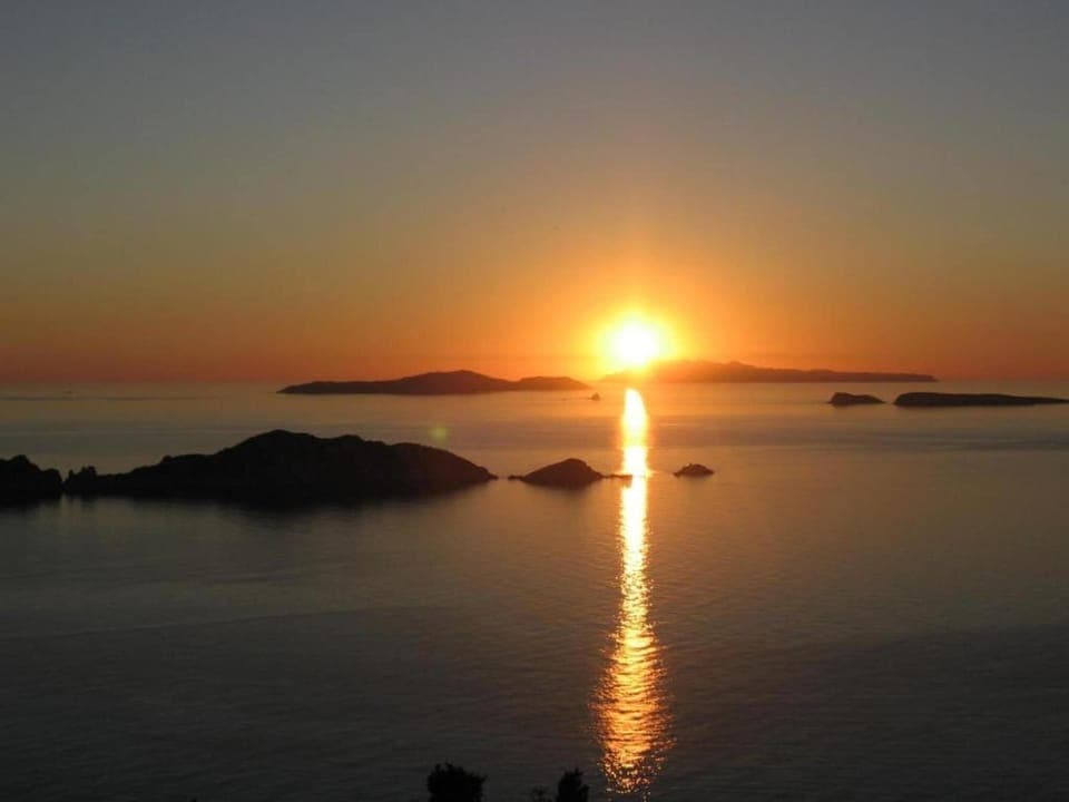 Region [summer] (>5 km)