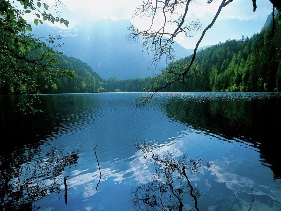 Surroundings [summer] (1-5 km)