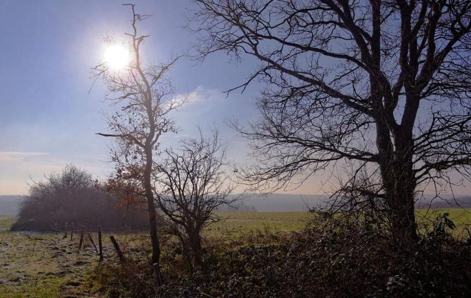 Region [summer] (>5 km)