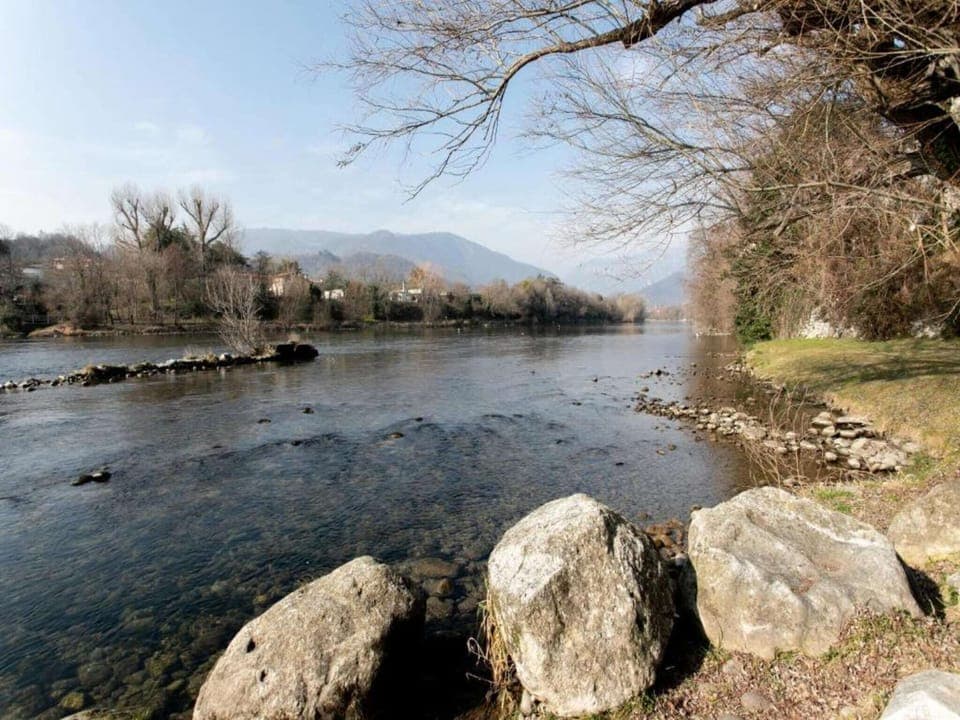 Region [summer] (>5 km)