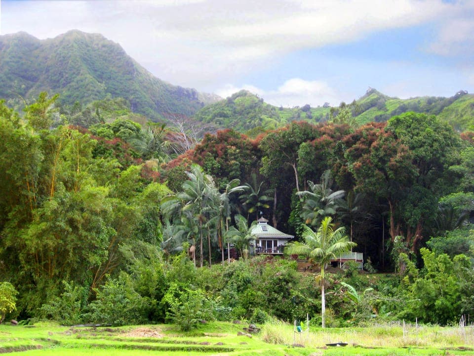 Nestled in the lush Wainiha River Valley, your private piece of paradise.