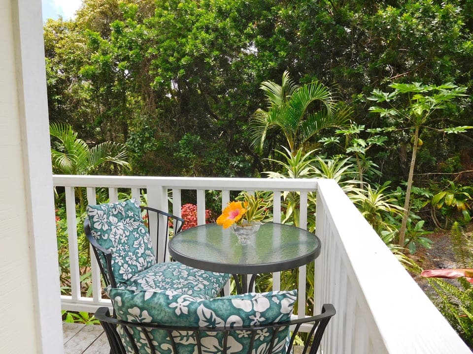 Small lanai for breakfasting surronded by papayas and flowers.