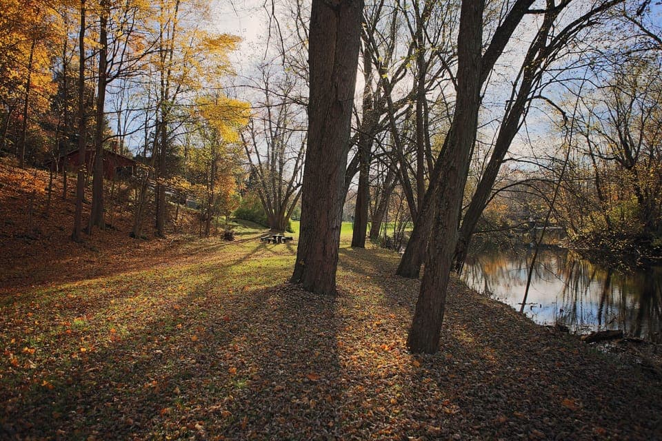 1000 feet of private river front