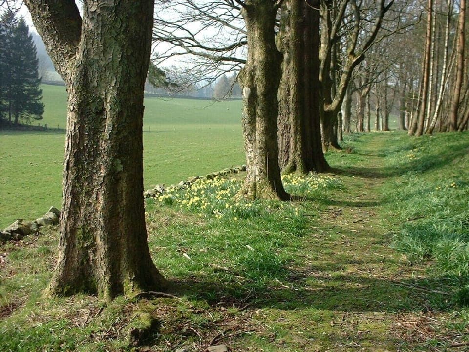 Spring at Merlindale