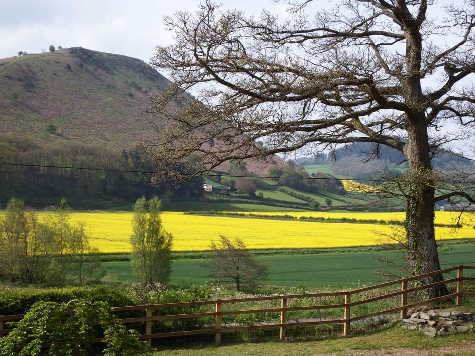 Secure fencing around full 3-acre site.