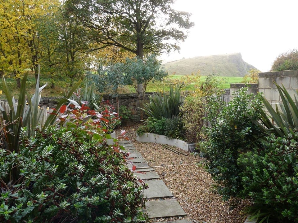 Garden looking towards Salisbury Crags in Holyrood Park