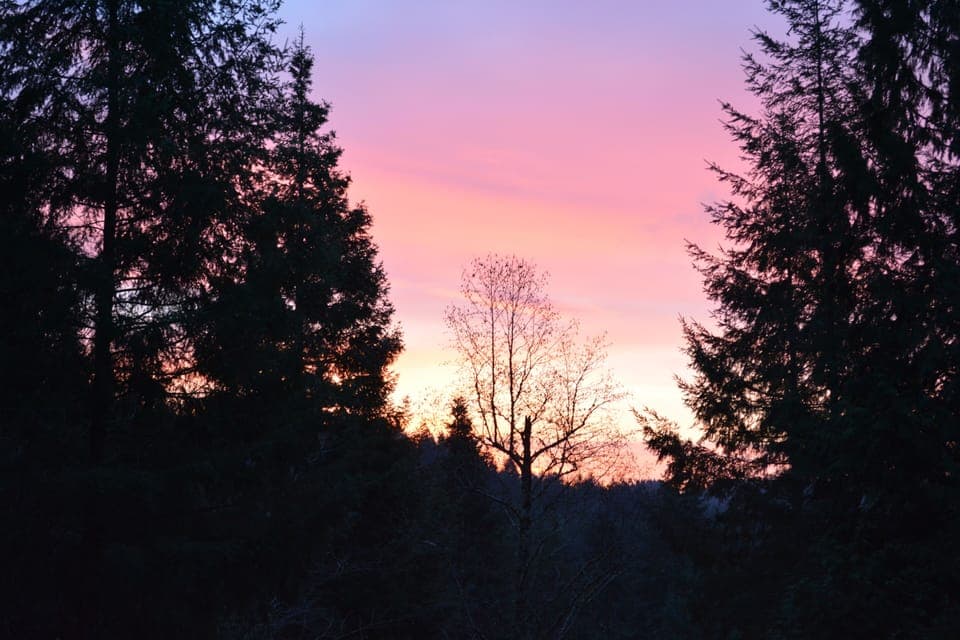 Watch a great sunrise while out on a walk, or sunset from the deck.
