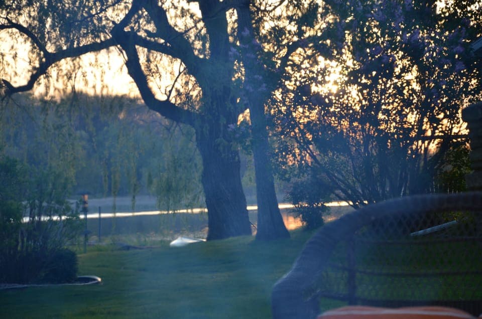 view from the fire pit!