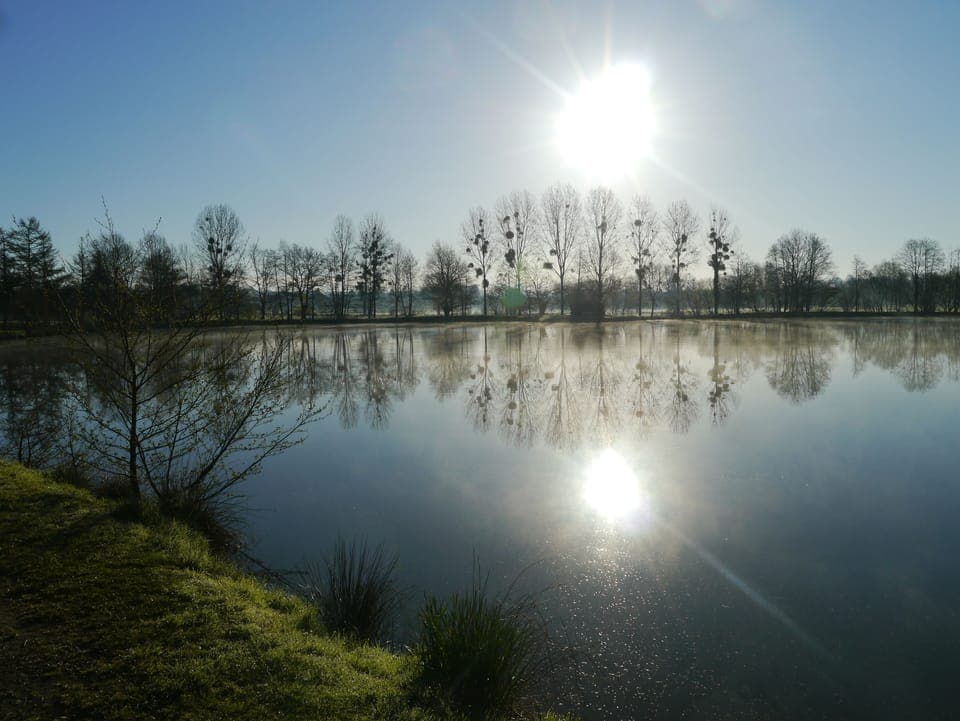 take a stroll at Brecey lake