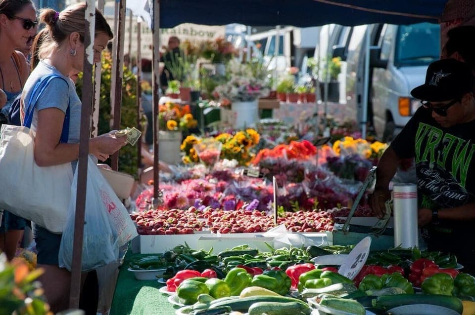 Local Farmers Market (year-round) - on Newport Ave; Wednesdays 4-8 PM