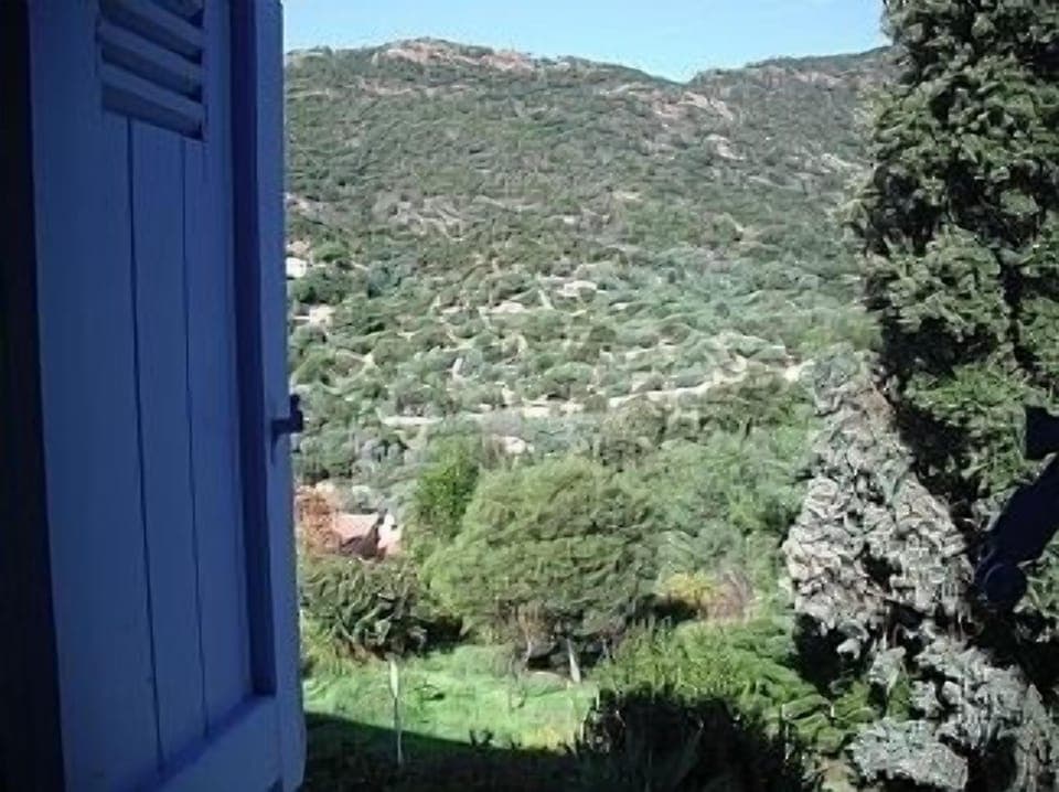 View to the back (from upstairs)