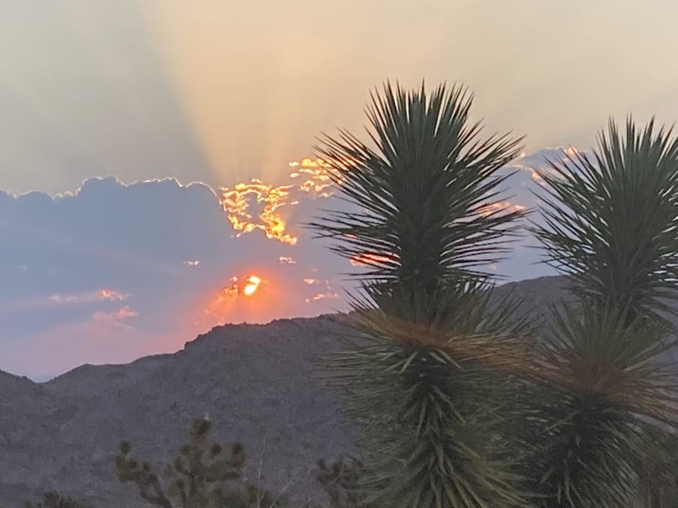 sunrise from the patio