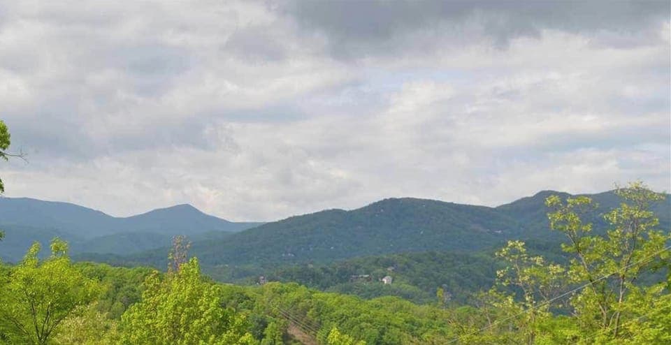 Red Hill Roost Mountain View