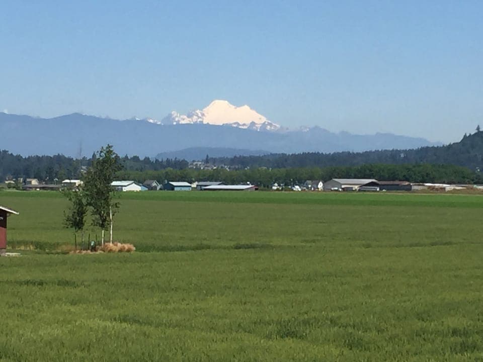 Mount Baker view from Guesthouse deck 