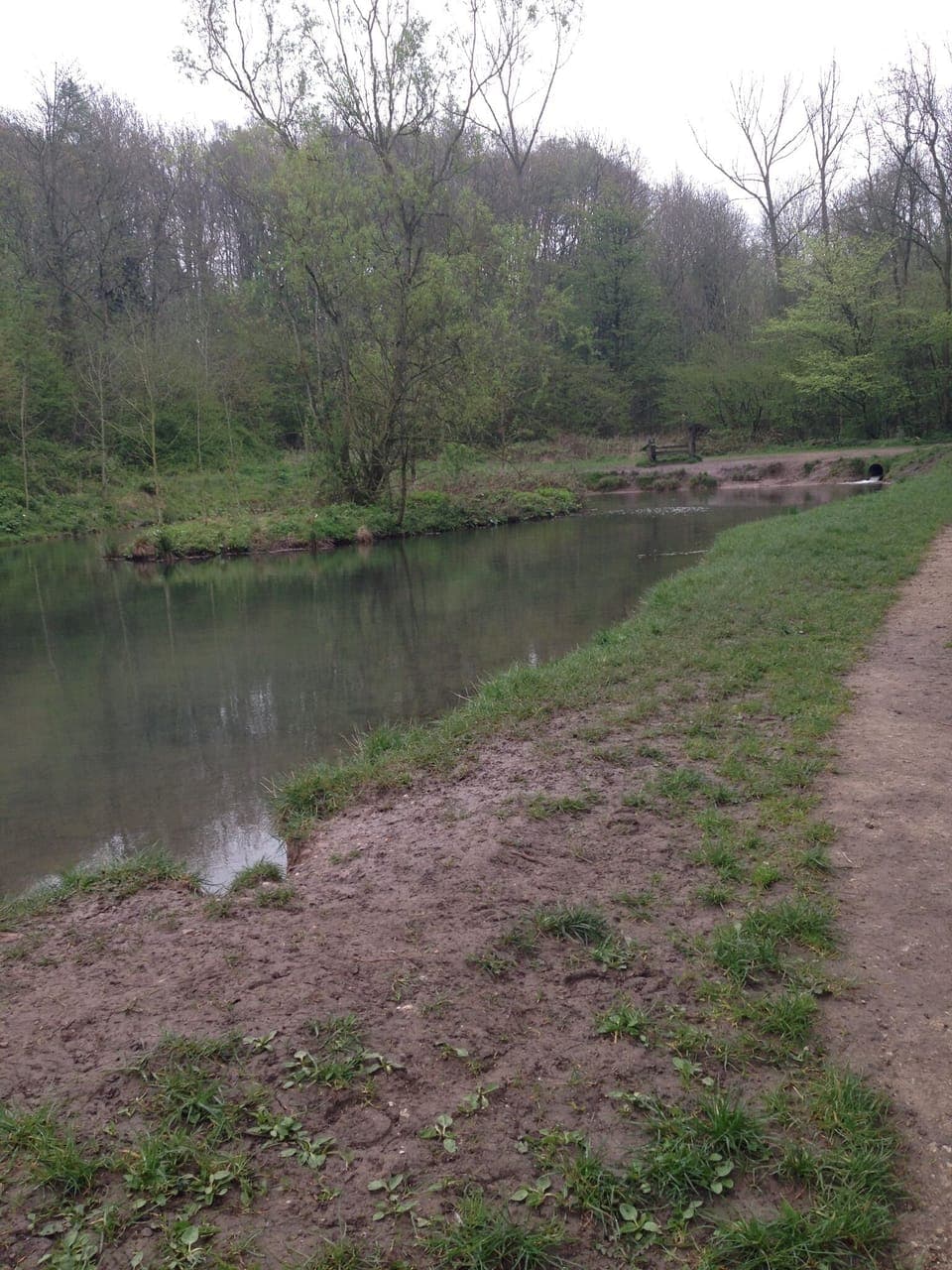 Local walk to Jacksons Bank