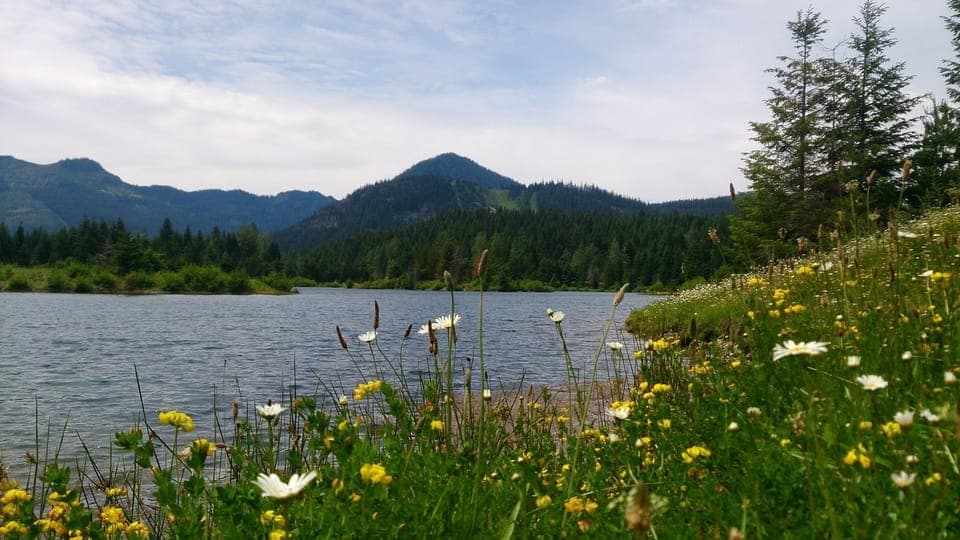 Short driving (7 min) Gold Creek Pond - Summer only