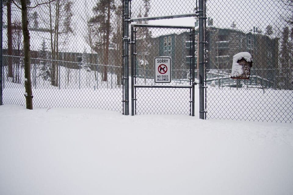 Tennis, anyone? :-)