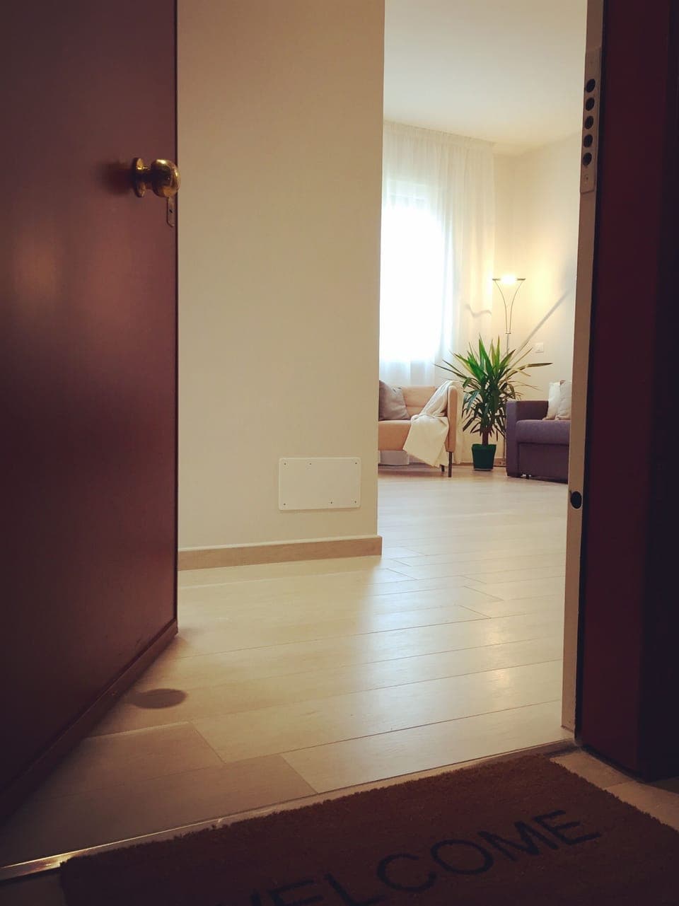 The sunny living room