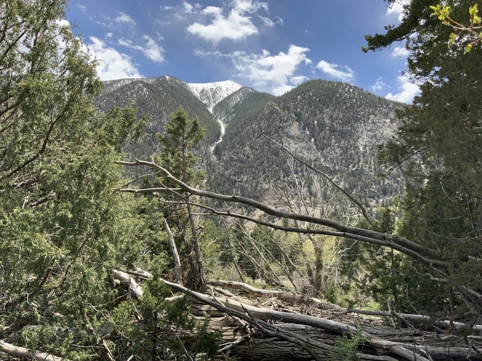 View toward Mt. Antero