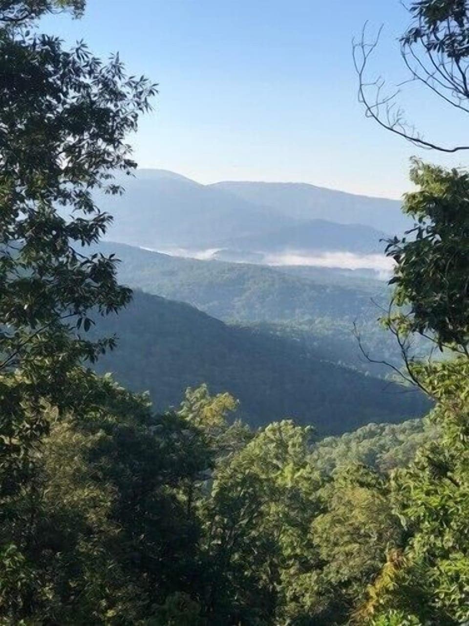 Picture taken by guest from the cabin’s deck (end of September, 2021.)