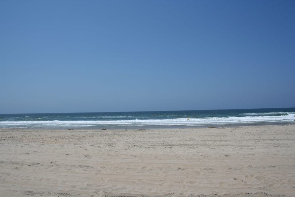 Mission Beach - Surfers and Dolphins!
50 steps from our building.