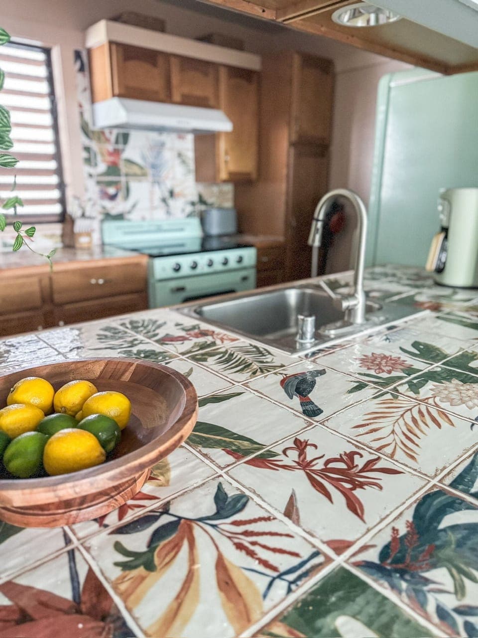 Retro kitchen with new oven and refrigerator 